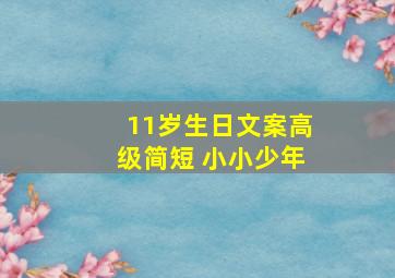 11岁生日文案高级简短 小小少年